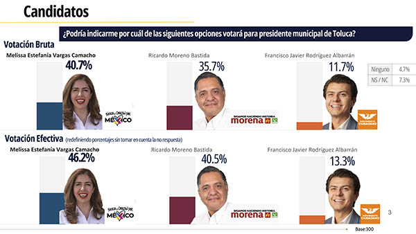 Publix_EncuestaToluca_ResumenEjecutivo