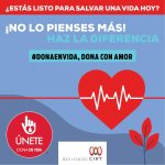 Día Mundial del Donante de Sangre: Un acto que salva vidas